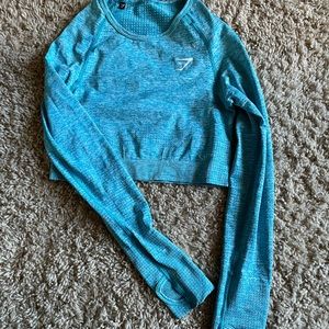 Blue gym shark  long sleeve crop shirt